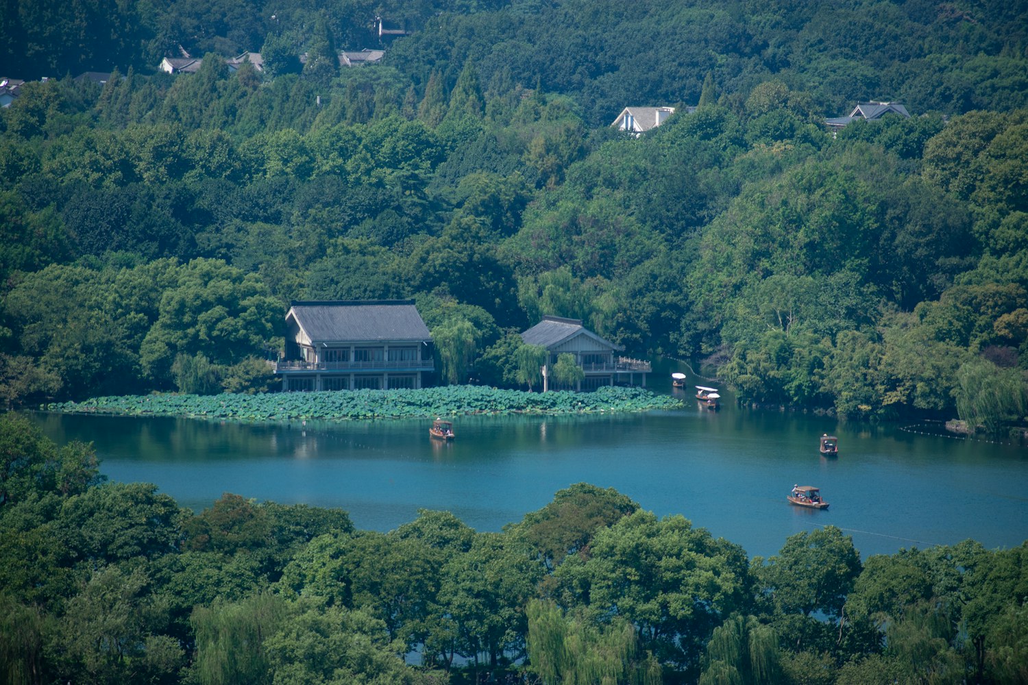 孤山与西湖园林景色